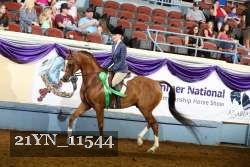 21YN_11544 thumbnail