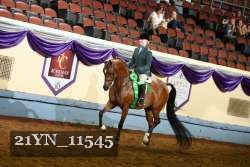 21YN_11545 thumbnail