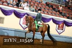 21YN_11546 thumbnail
