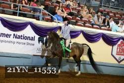 21YN_11553 thumbnail