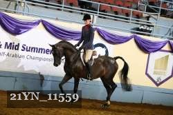 21YN_11559 thumbnail