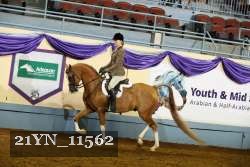 21YN_11562 thumbnail