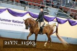 21YN_11563 thumbnail
