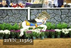 21YN_11565 thumbnail