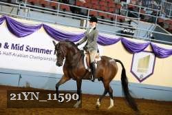21YN_11590 thumbnail