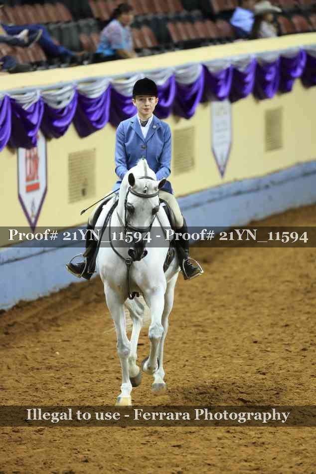 Proof Number 21YN_11594