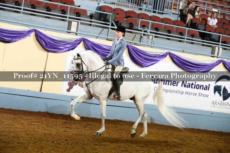Proof Number 21YN_11595