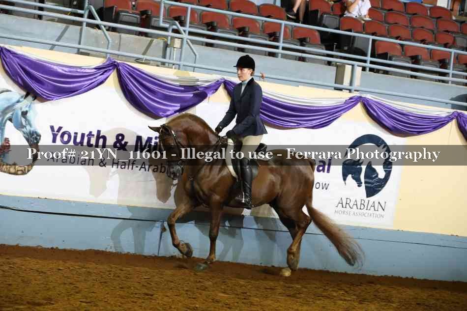 Proof Number 21YN_11601