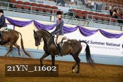 21YN_11602 thumbnail