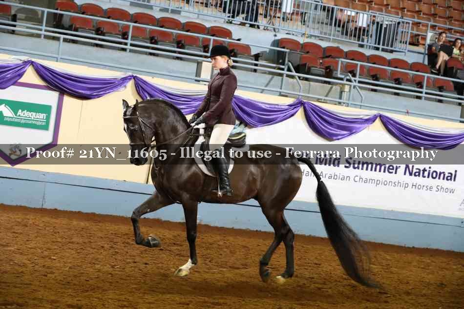 Proof Number 21YN_11605