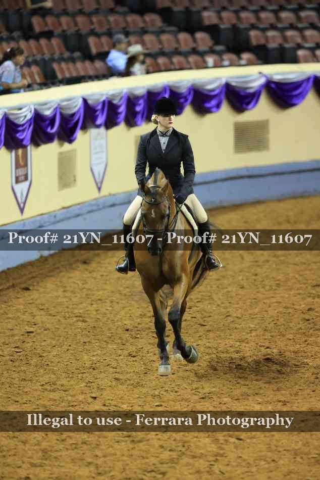Proof Number 21YN_11607