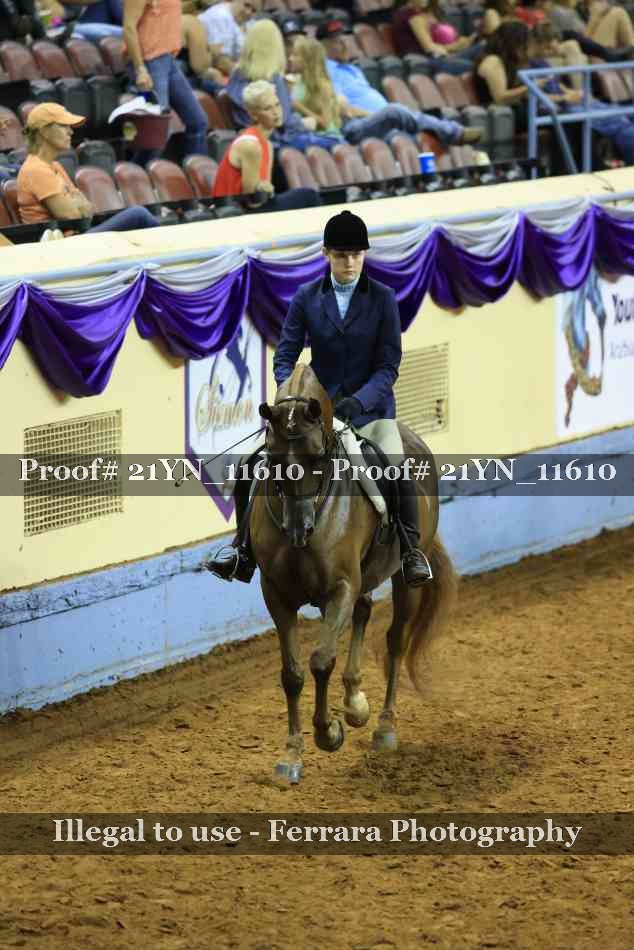 Proof Number 21YN_11610