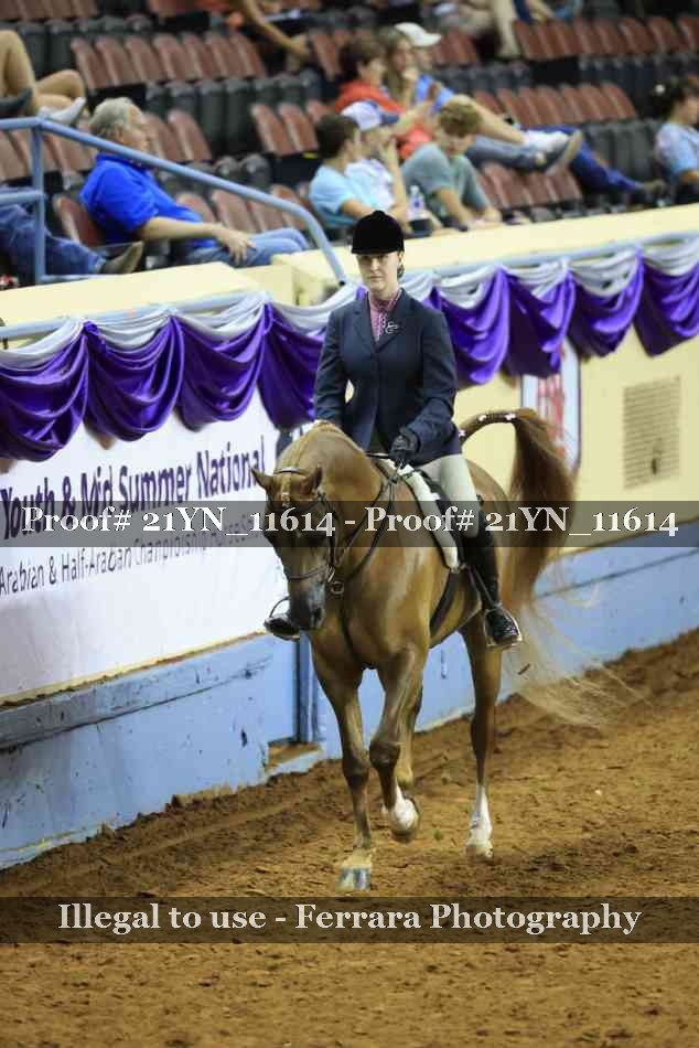 Proof Number 21YN_11614