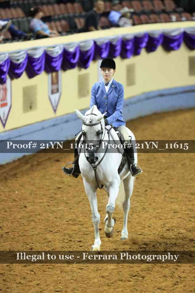 Proof Number 21YN_11615