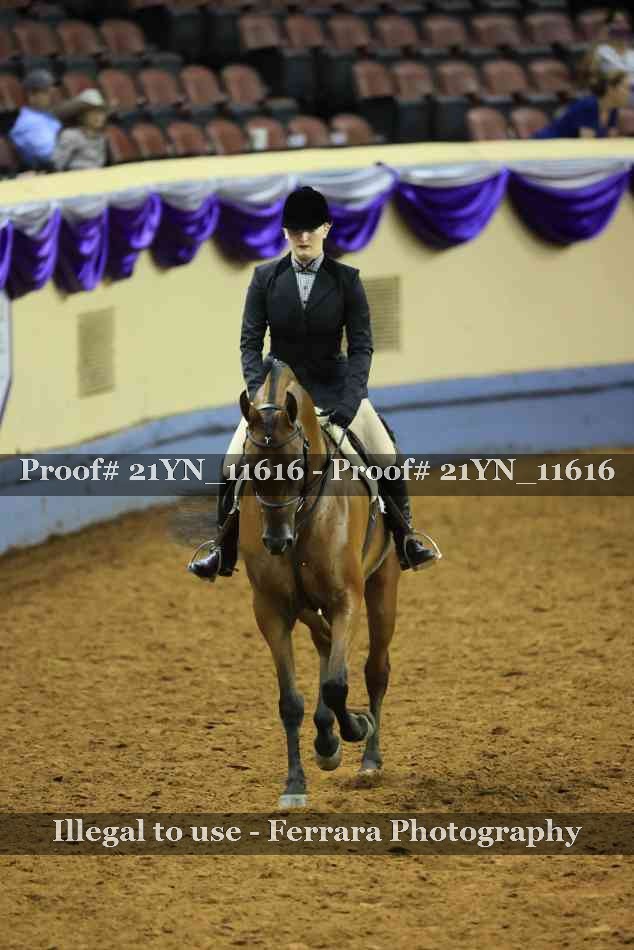 Proof Number 21YN_11616
