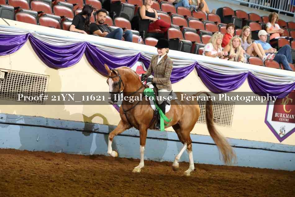 Proof Number 21YN_11621