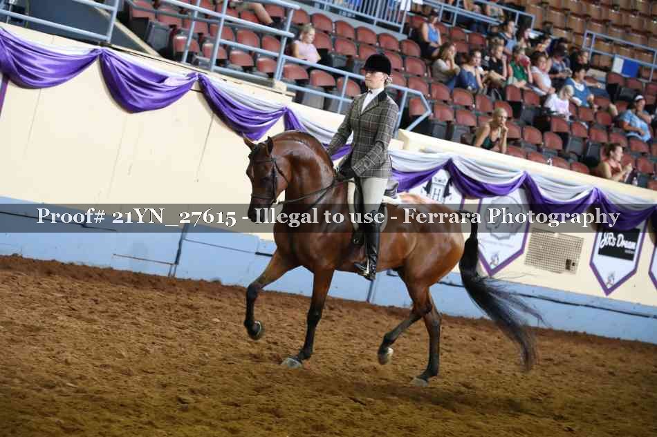 Proof Number 21YN_27615