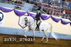 21YN_27621 thumbnail