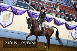 21YN_27624 thumbnail