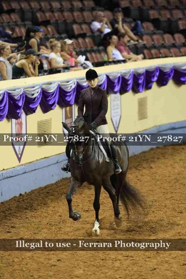 Proof Number 21YN_27827