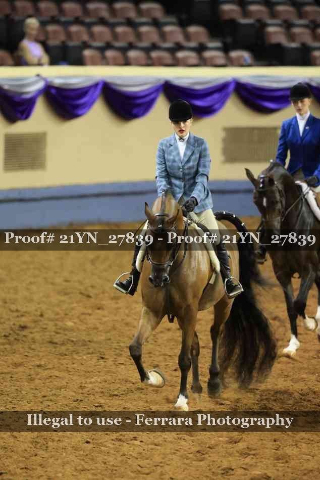 Proof Number 21YN_27839