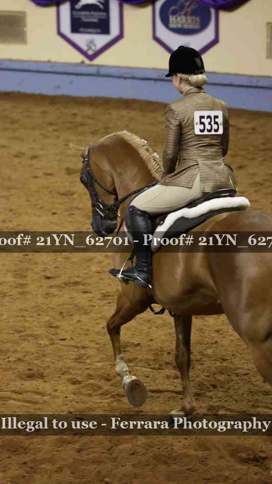 Proof Number 21YN_62701