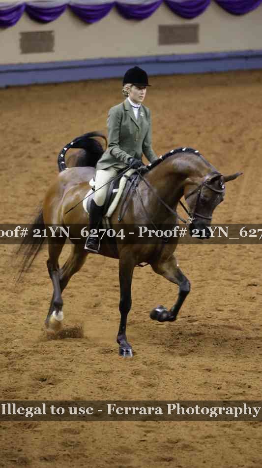 Proof Number 21YN_62704