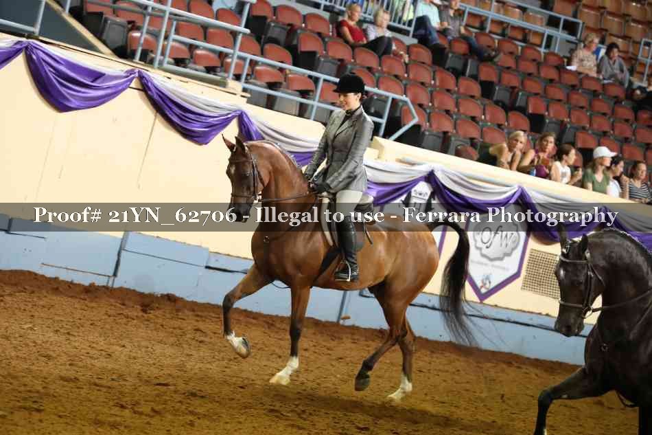 Proof Number 21YN_62706