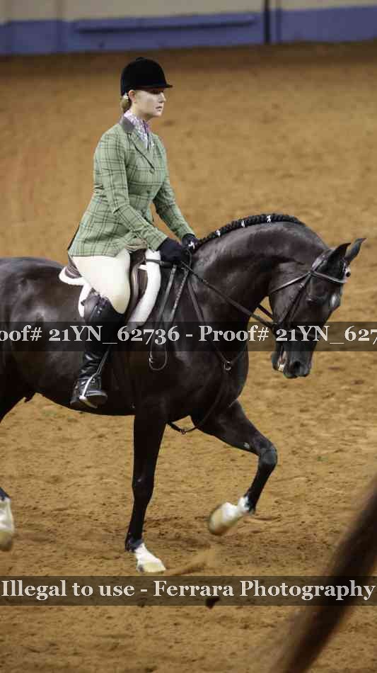 Proof Number 21YN_62736