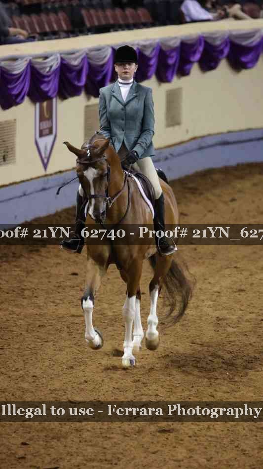 Proof Number 21YN_62740