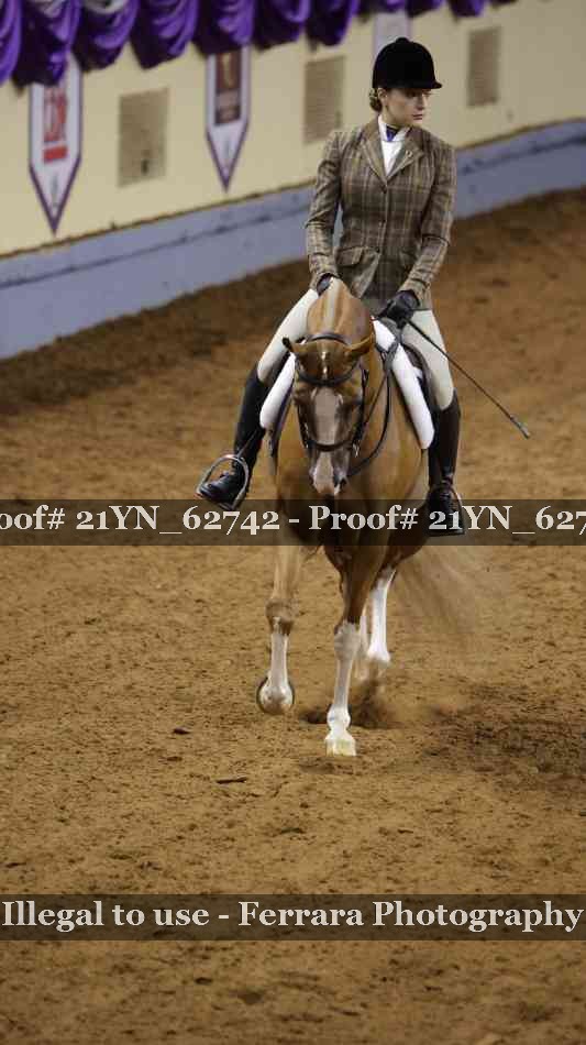Proof Number 21YN_62742