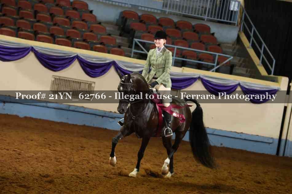 Proof Number 21YN_62766