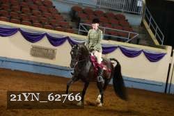 21YN_62766 thumbnail
