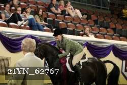 21YN_62767 thumbnail