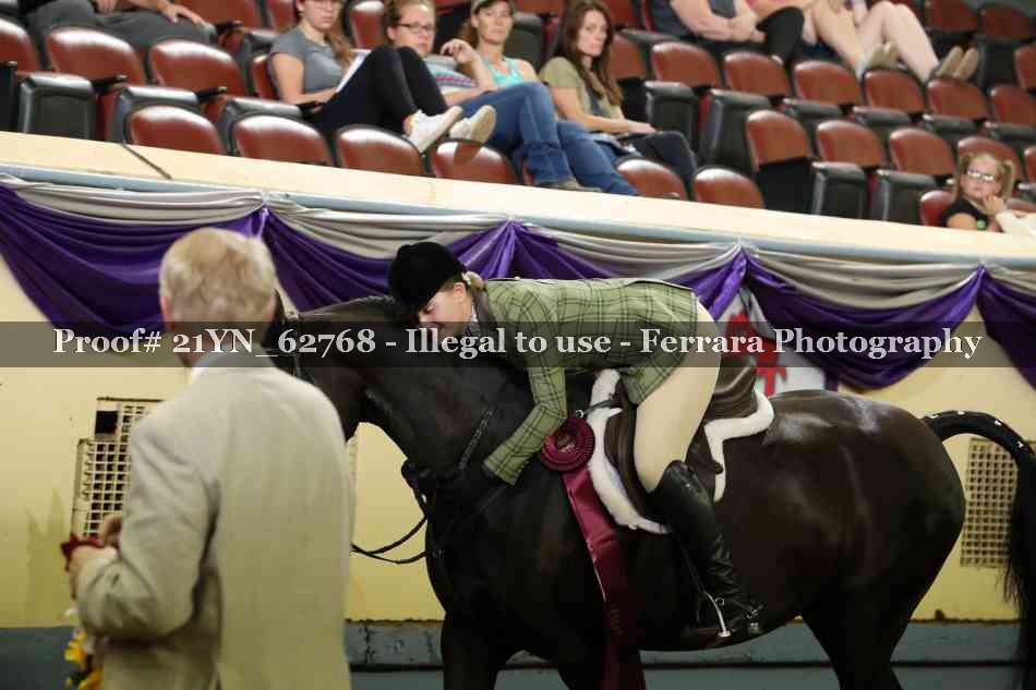 Proof Number 21YN_62768