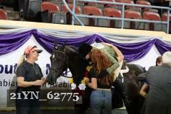 21YN_62775 thumbnail