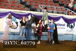 21YN_62779 thumbnail