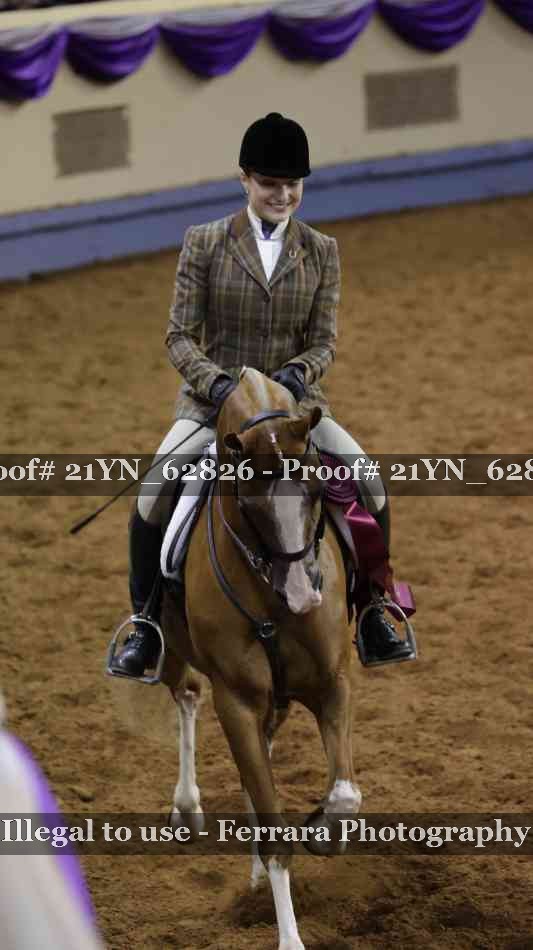 Proof Number 21YN_62826