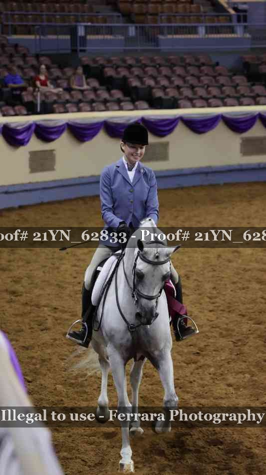 Proof Number 21YN_62833