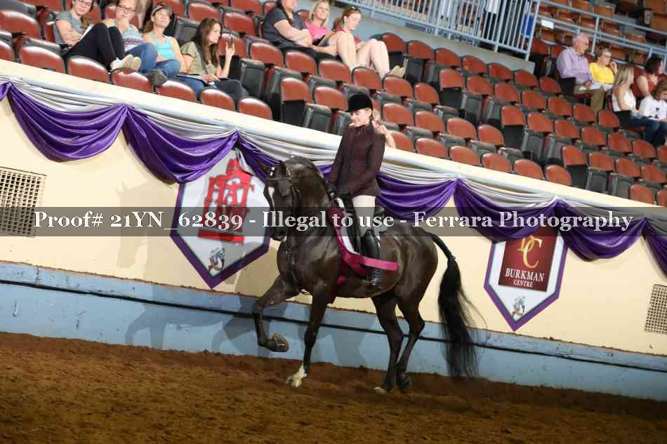 Proof Number 21YN_62839