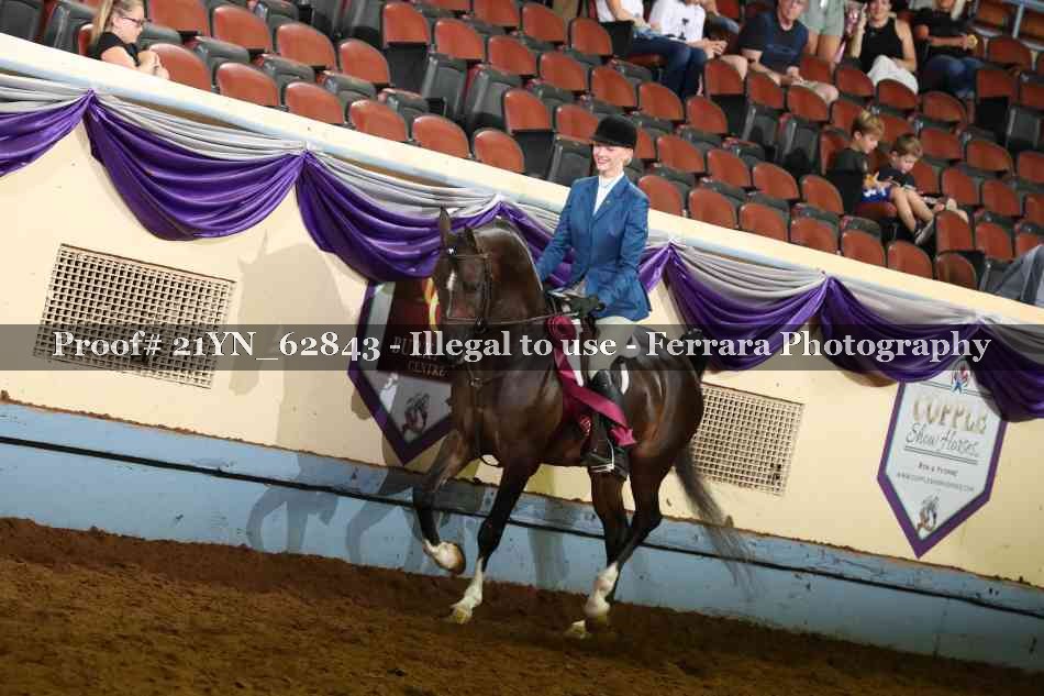 Proof Number 21YN_62843