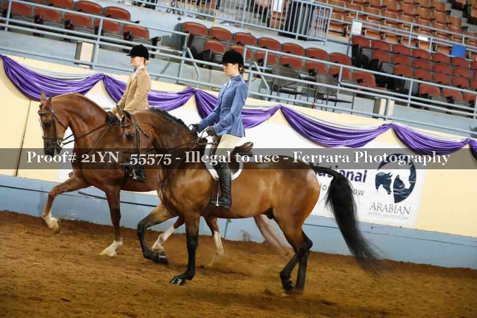 Proof Number 21YN_55575