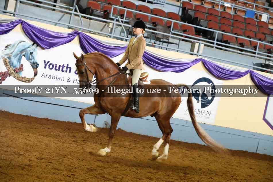 Proof Number 21YN_55609