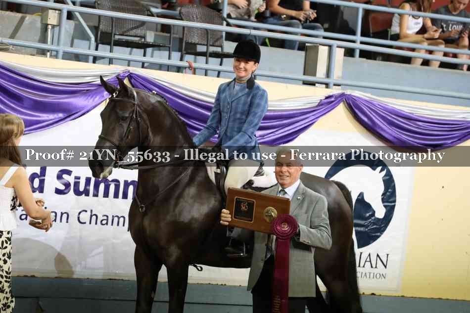 Proof Number 21YN_55633