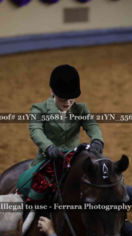 Proof Number 21YN_55681