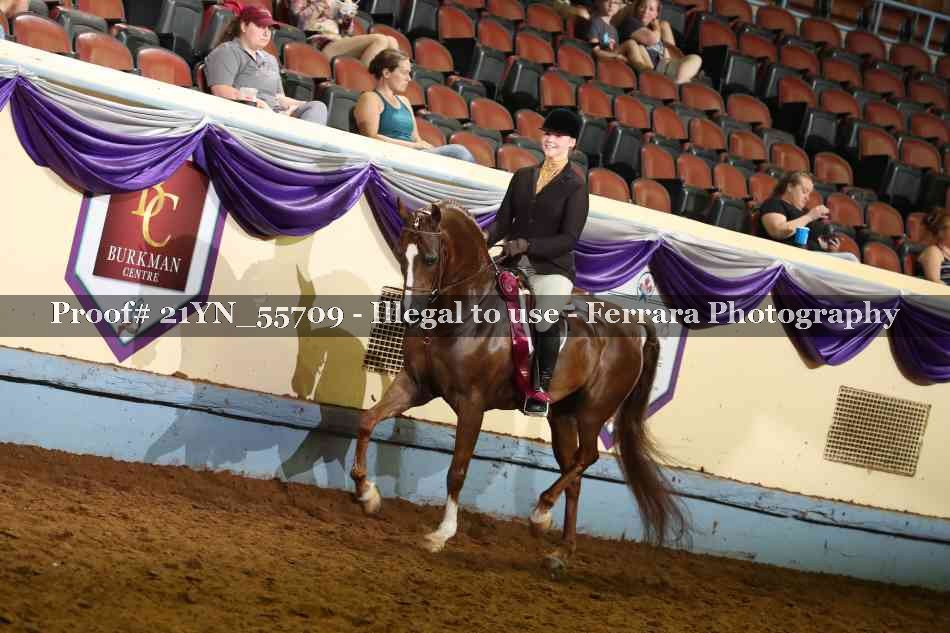 Proof Number 21YN_55709