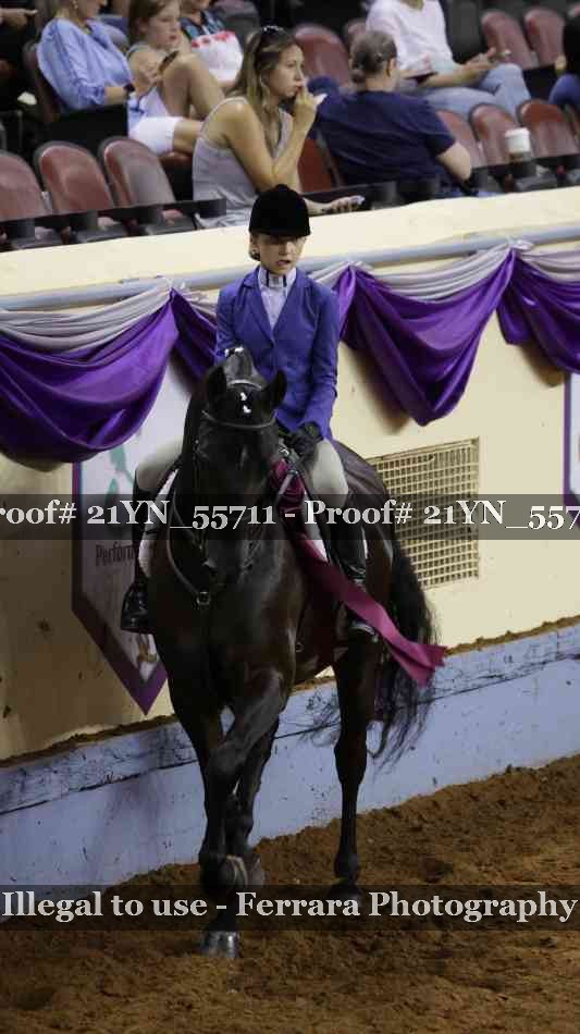 Proof Number 21YN_55711