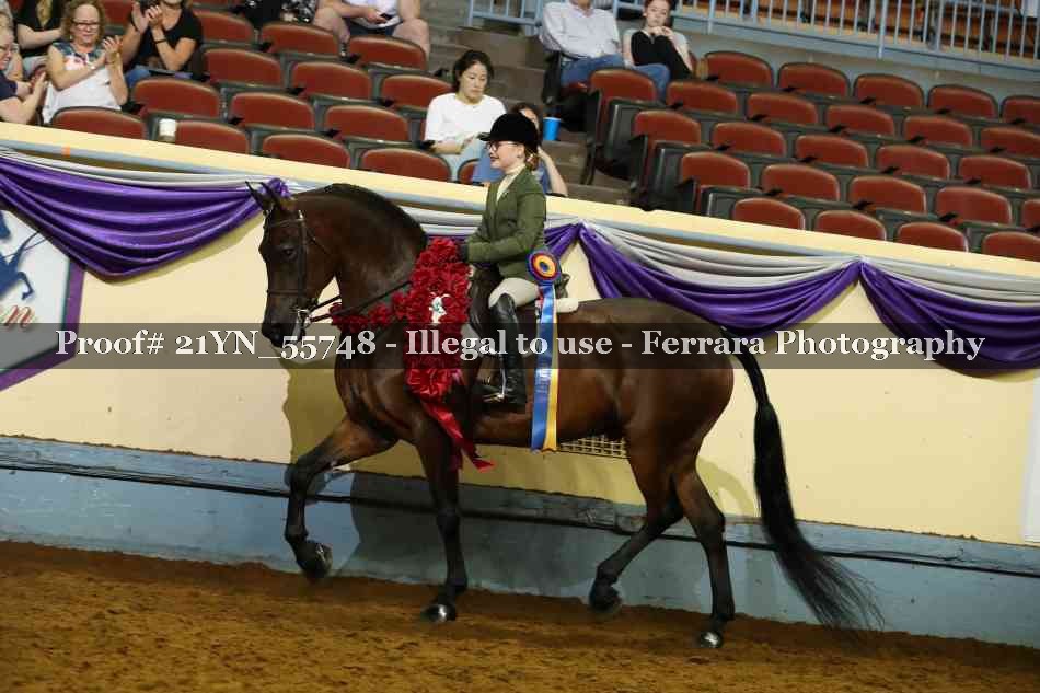 Proof Number 21YN_55748