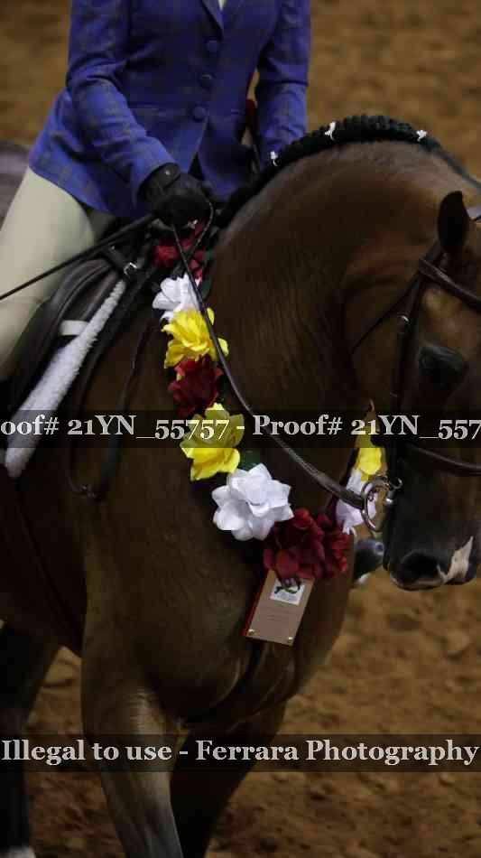 Proof Number 21YN_55757