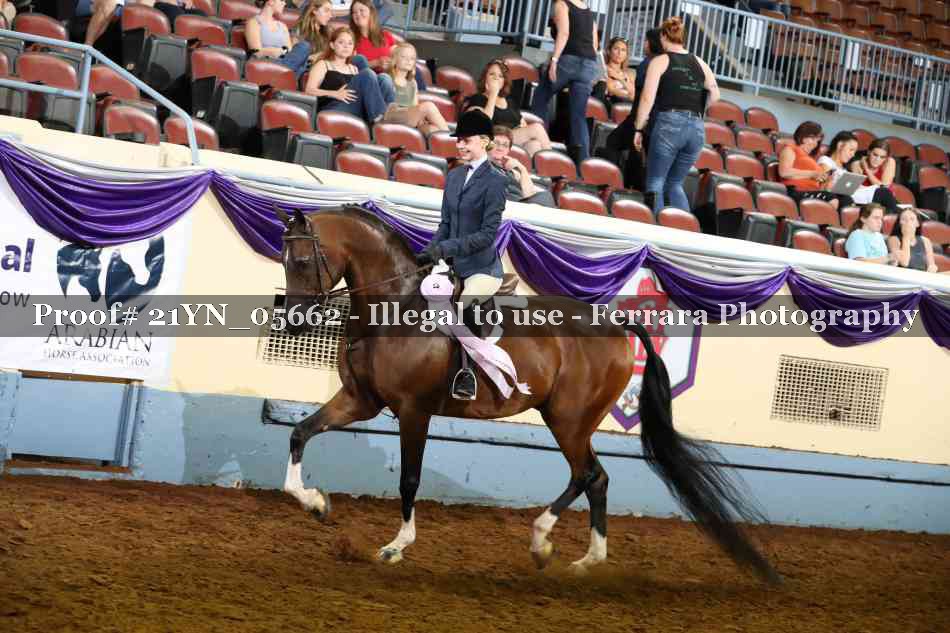 Proof Number 21YN_05662